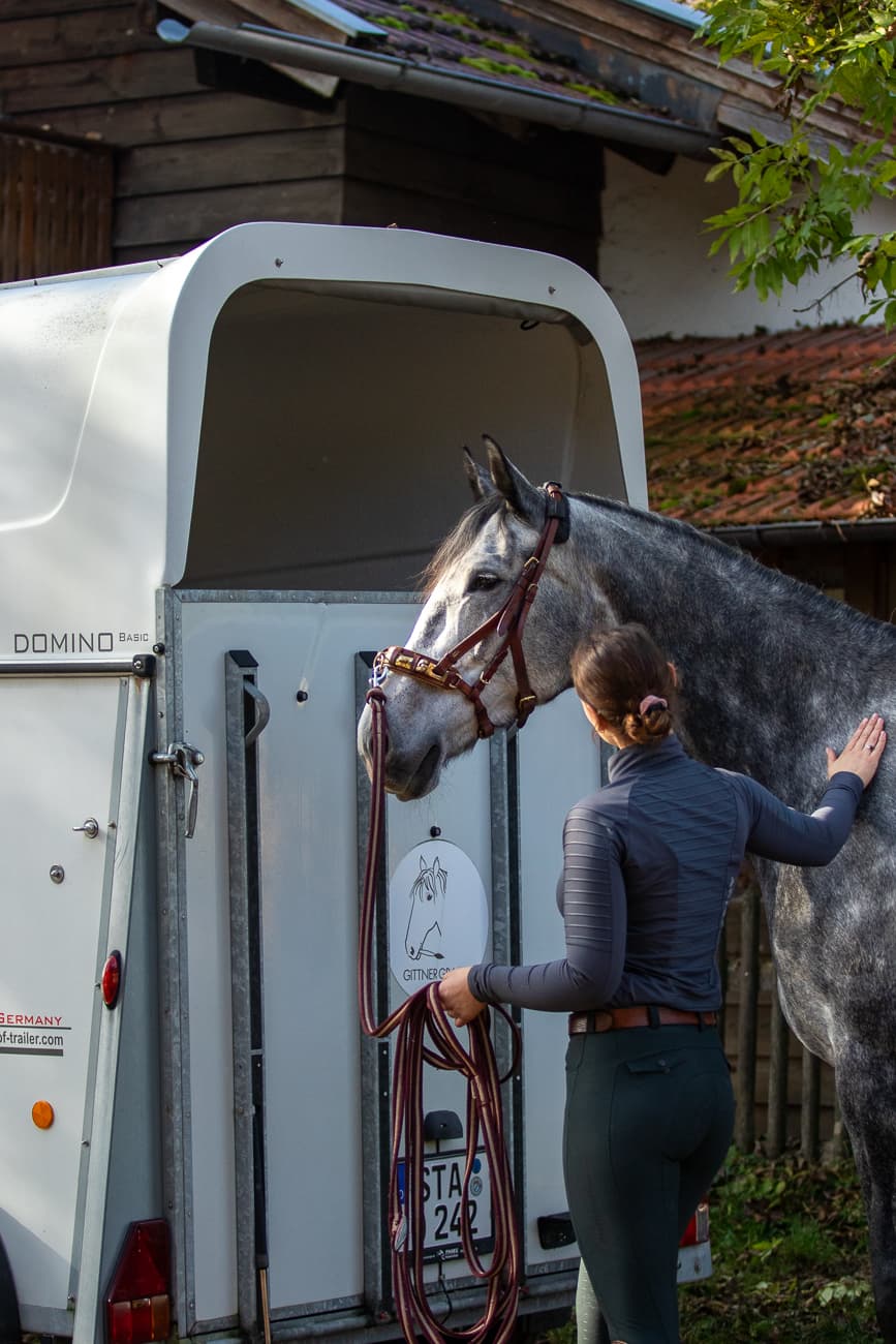 Horse coaching portrait 4