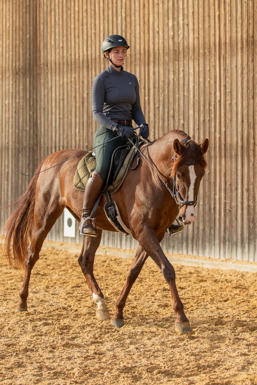 Horse coaching portrait 3