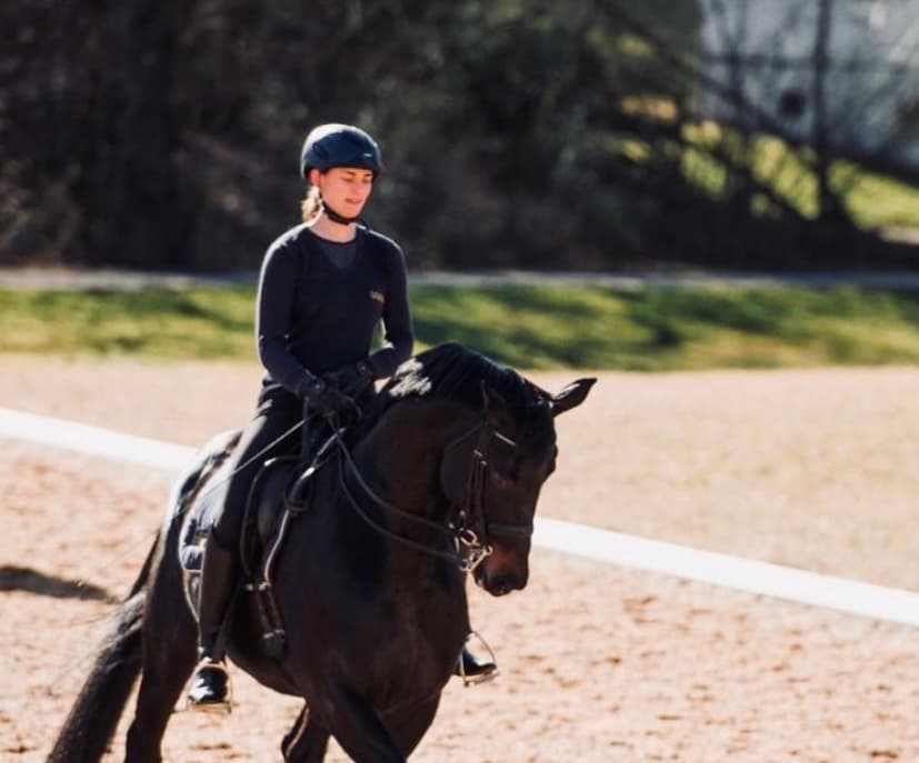 Beritt & Unterricht vor Ort