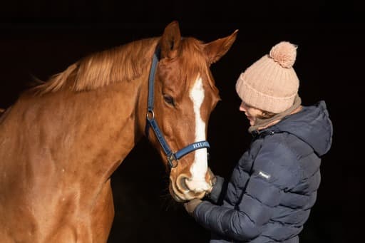 Horse training moment