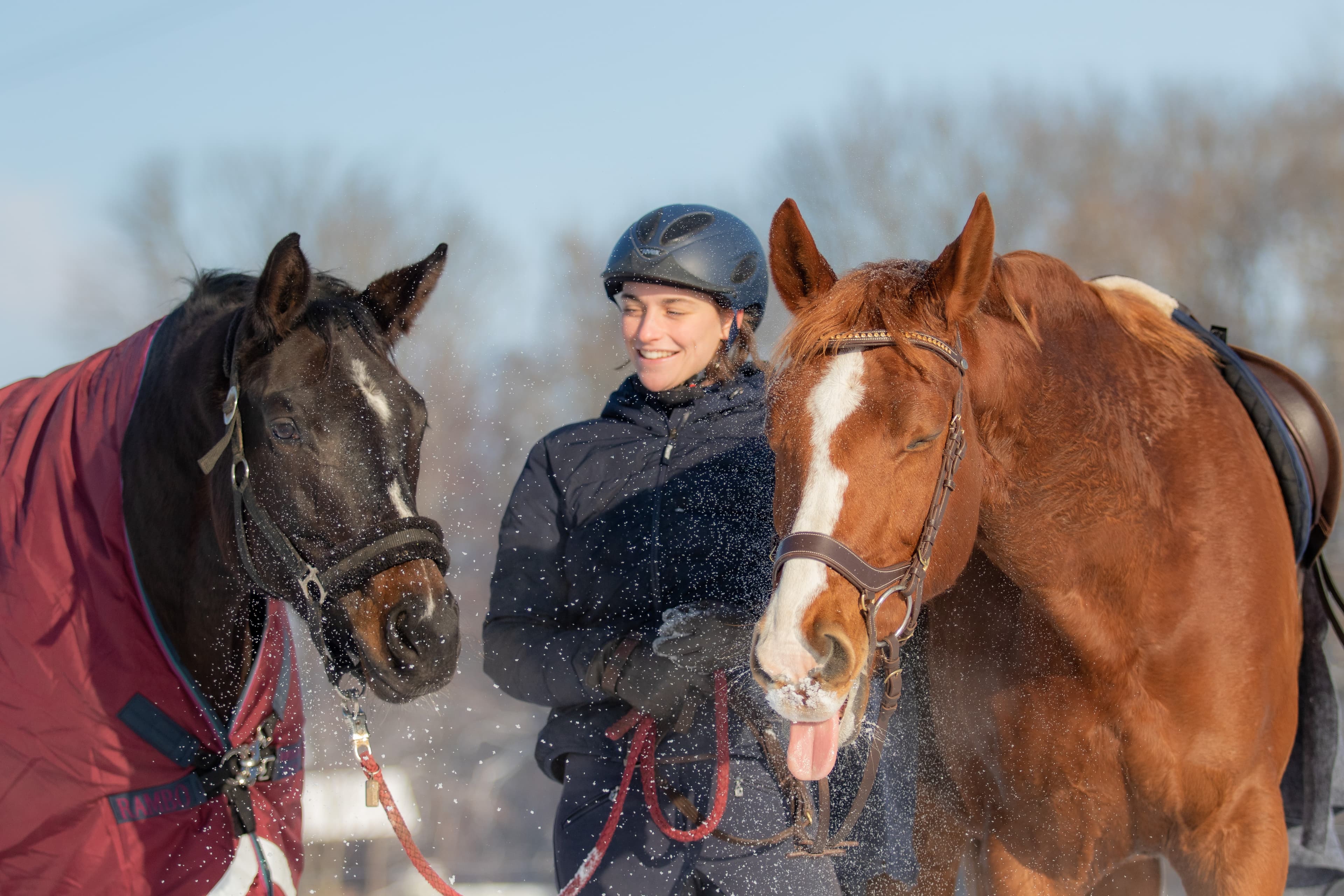 Horse coaching portrait 1