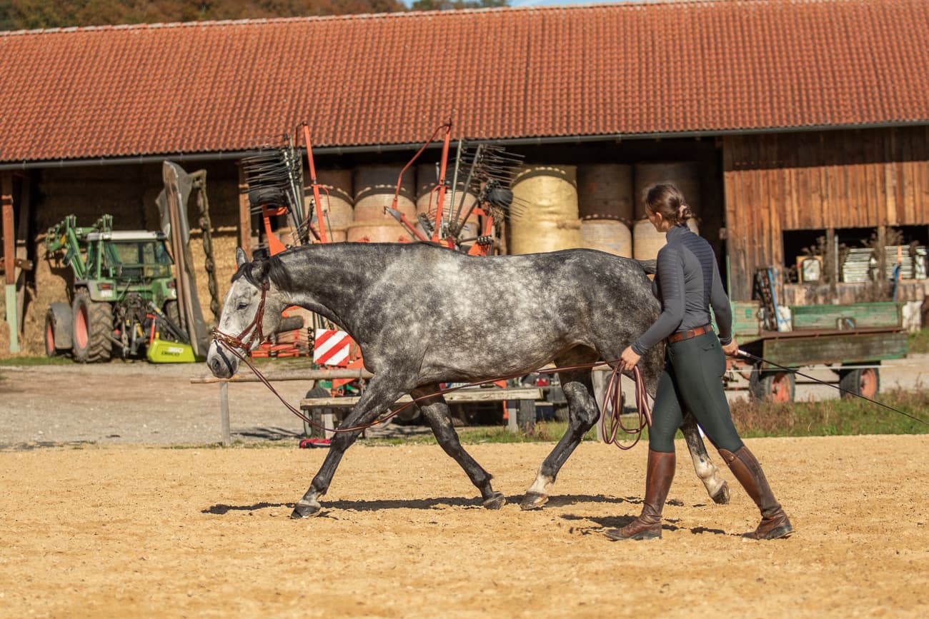 Individuelles Online Coaching